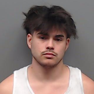 ALVAREZ, TONY booking photo