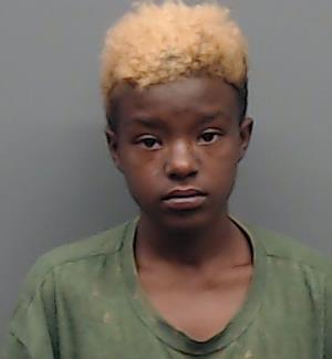 JOHNSON, SHAYLA MICHELLE booking photo