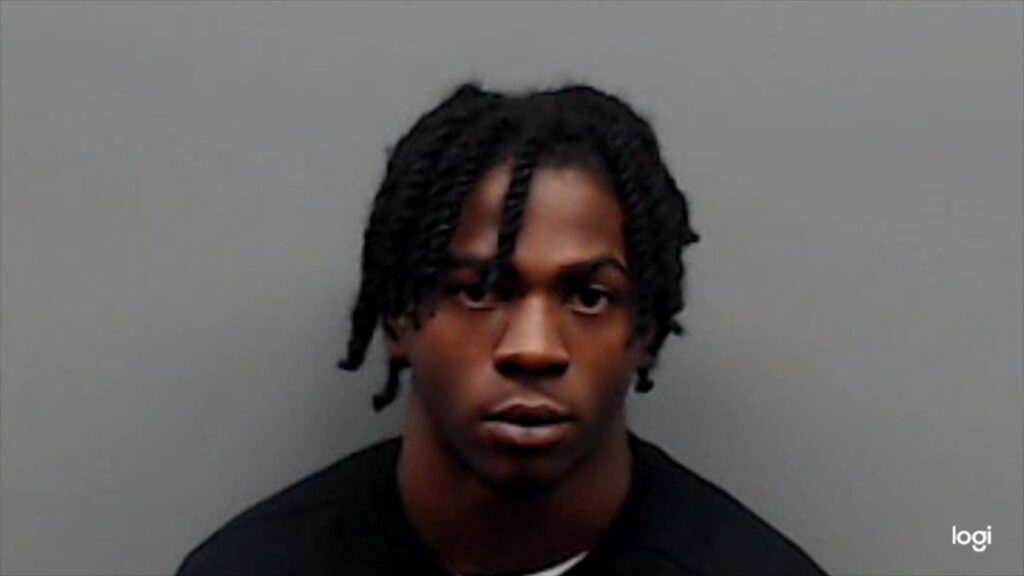 WILLIAMS, MICHAERIN booking photo