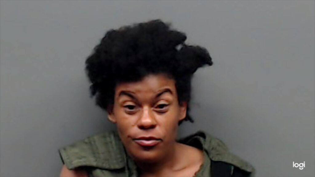 JOHNSON, JAMEKA ANN booking photo