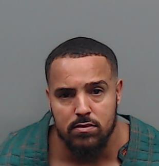 DAVIS, L T HERBERT booking photo