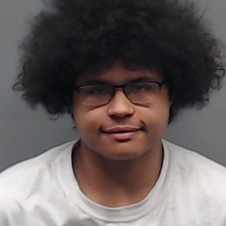 AUSTIN, JANTZEN JEE'LYNN booking photo