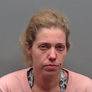 HANKINS, BRITTANY LEE booking photo