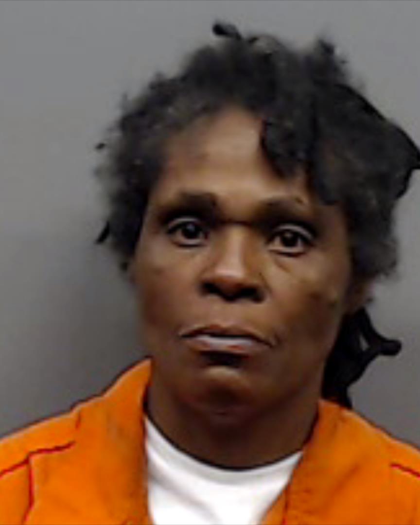 JOHNSON, DIAN ROCHELLE arrested by Smith County SO/PD