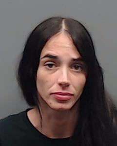 STEVENSON, ANNDREIA ELAINE booking photo