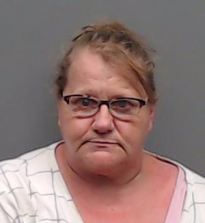 CHILDRESS, JONI SAVAGE booking photo