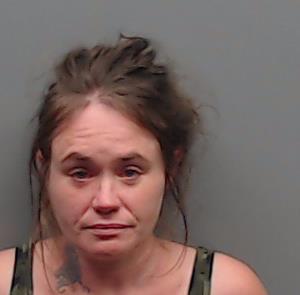 DRISKILL, STEPHANIE ANN booking photo