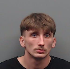 HOEGGER, DILLAN WADE booking photo