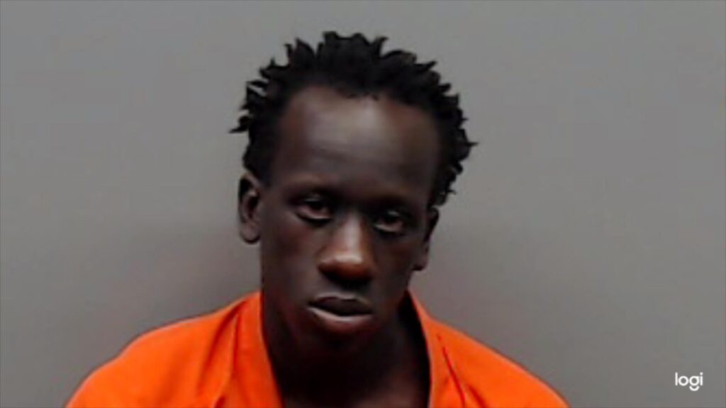 MNANYO, JEREMIAH MARCINO arrested in Smith County, Texas mugshot