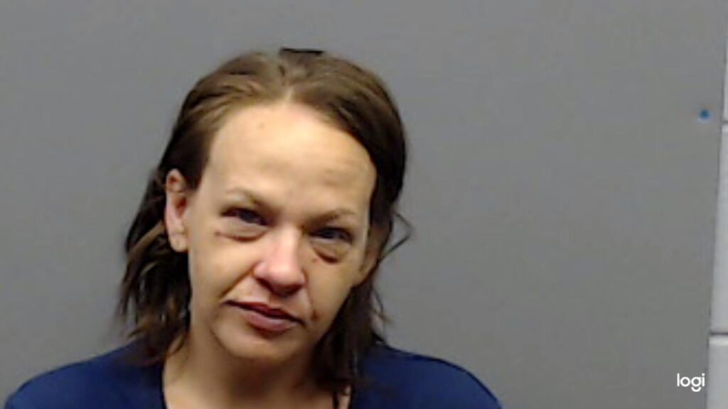 TRENT, LESLIE DIANE booking photo