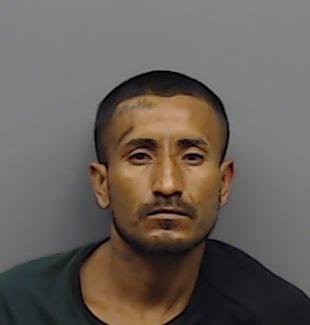 MENDOZA-HERNANDEZ, RICARDO booking photo