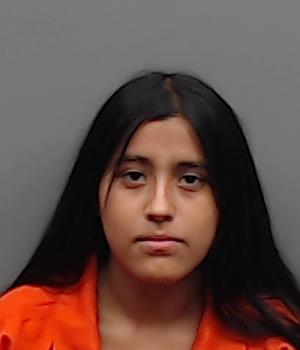 MARTINEZ, DOLORES IDALIA booking photo