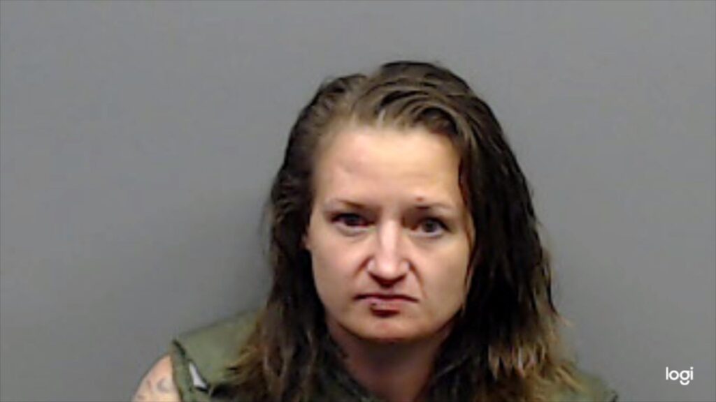 HELFER, AMANDA ANN booking photo