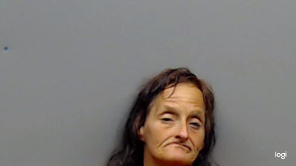 PAGE, DARLENE booking photo