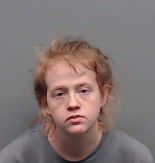 HEWITT, TANIS RAE booking photo