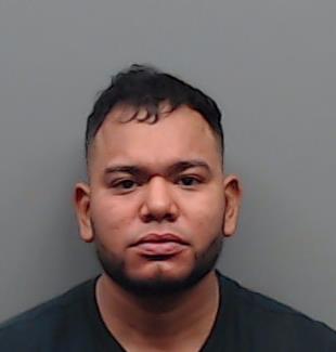 LEON-FUERTE, WILLIAM booking photo