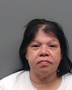 RAMIREZ-SANCHEZ, IRENE booking photo