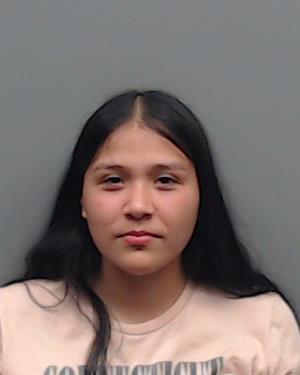 GUEVARA, NOEMI booking photo