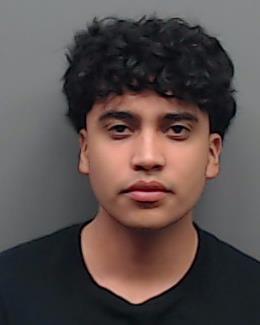 VIVEROS, LEONEL booking photo