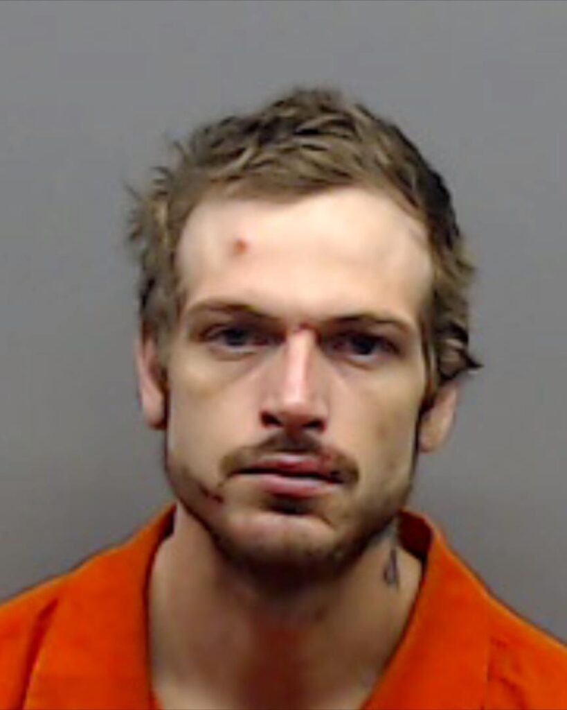 TAYLOR, DYLAN LEE booking photo