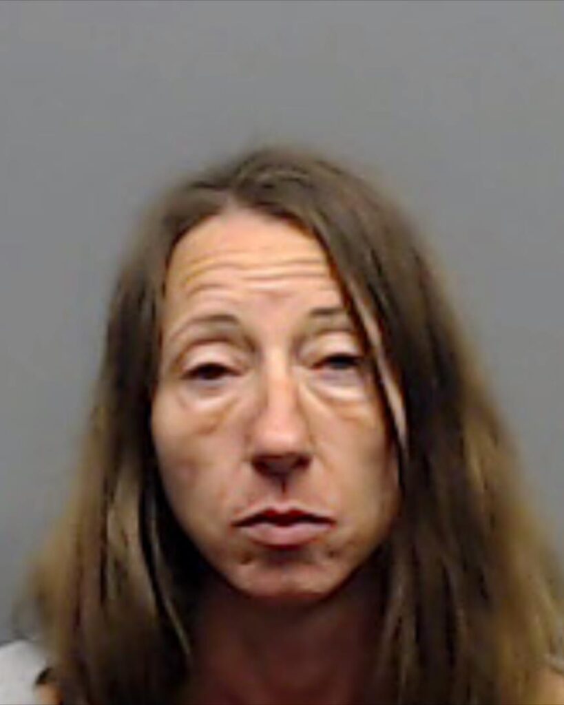 ANDERSON, SAMANTHA LEE booking photo