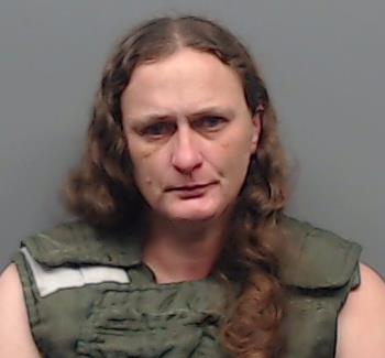 WILCOX, AMANDA booking photo