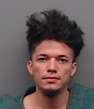 DOMINGO-CRUZ, CARLOS booking photo