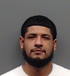 LANAS, CRISTIAN booking photo