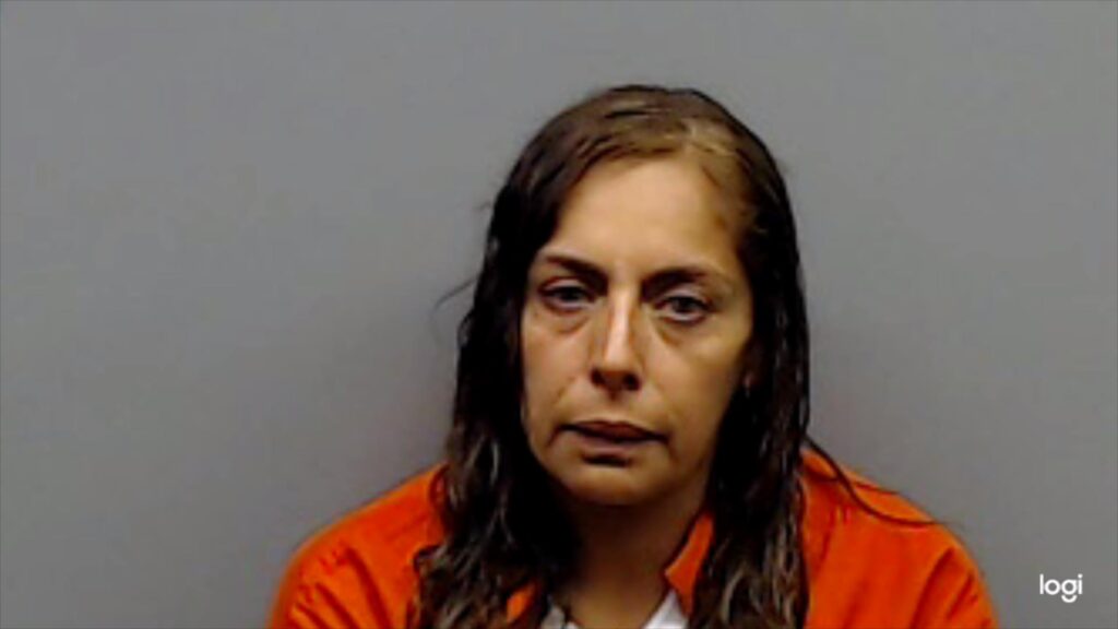 PALOMARES, BERTHA VELASQUEZ booking photo