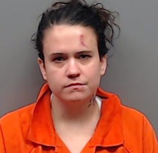 JOHNSON, TORI SHEA booking photo