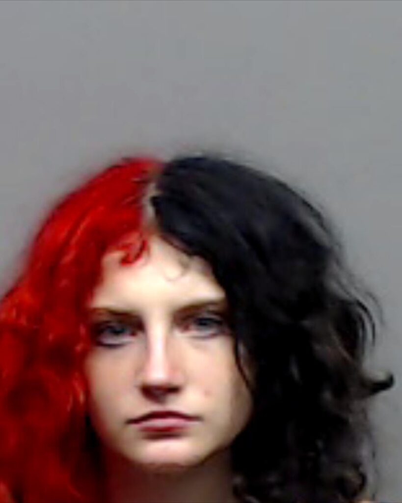 WILLIAMSON, KRYSTAL NICOLE booking photo