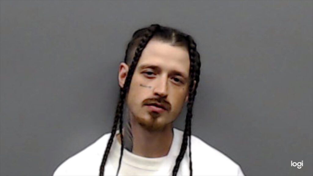 MEDILL, GABRIEL ISAAC booking photo