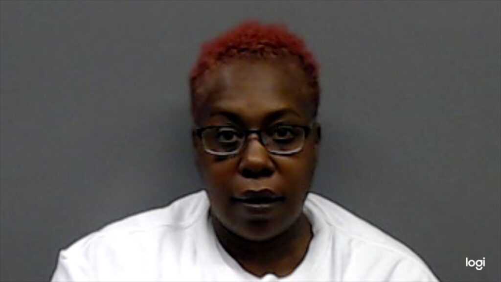 THOMPSON, THEODORA LANETTE booking photo