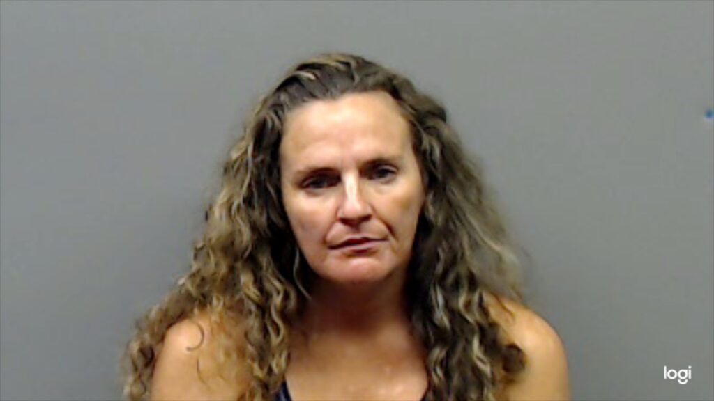 YORK, JODIE NELL arrested in Smith County, Texas mugshot
