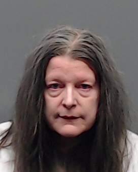 AMES, SHANNON LORENE booking photo