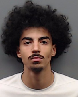 ANDERSON, JEAN MICHEL booking photo