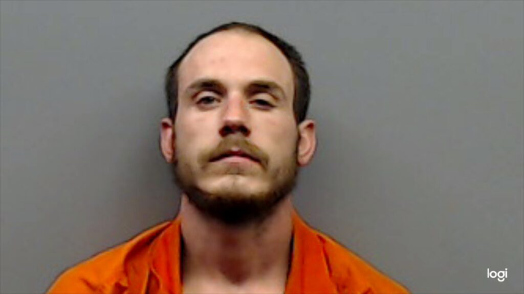 WHITE, COLTON GENE booking photo