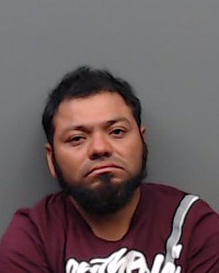 SARAVIA MERINO, EDWIN JOEL booking photo