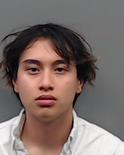 LIEU, ANH booking photo
