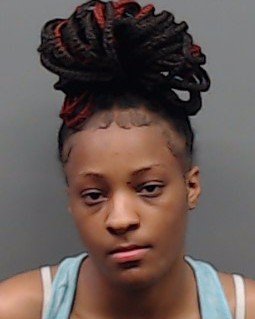 SMITH, ICIESS booking photo