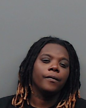 HOLLINS, TRACIE booking photo