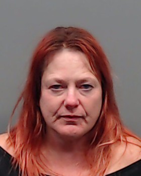 GIBBONS, CHRISTINA CAROL booking photo