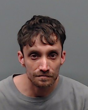 LAND, STEVEN ALAN booking photo