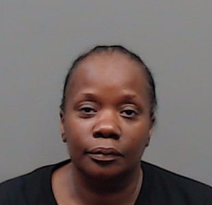 JOHNSON, TENEISHA L booking photo