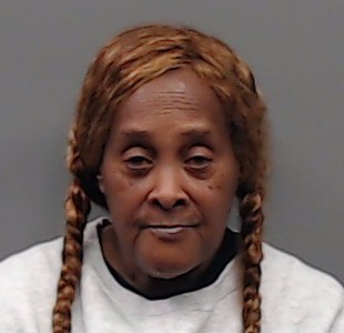 ROBINSON, ANNETTE LOUISE booking photo