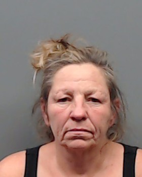 DELACERDA, PATRICIA ANN booking photo