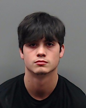 PERRIN, JOEL booking photo