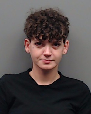 TOMLINSON, MEKAYLA booking photo