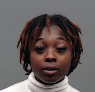 MENA, AYHANI booking photo