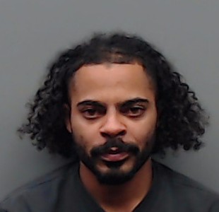 HUDSON, PHILLIP WAYNE booking photo